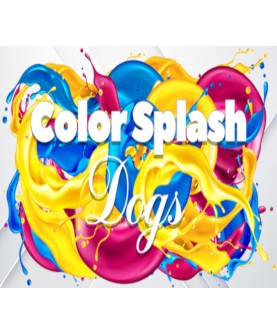 Color Splash: Dogs Steam Key GLOBAL